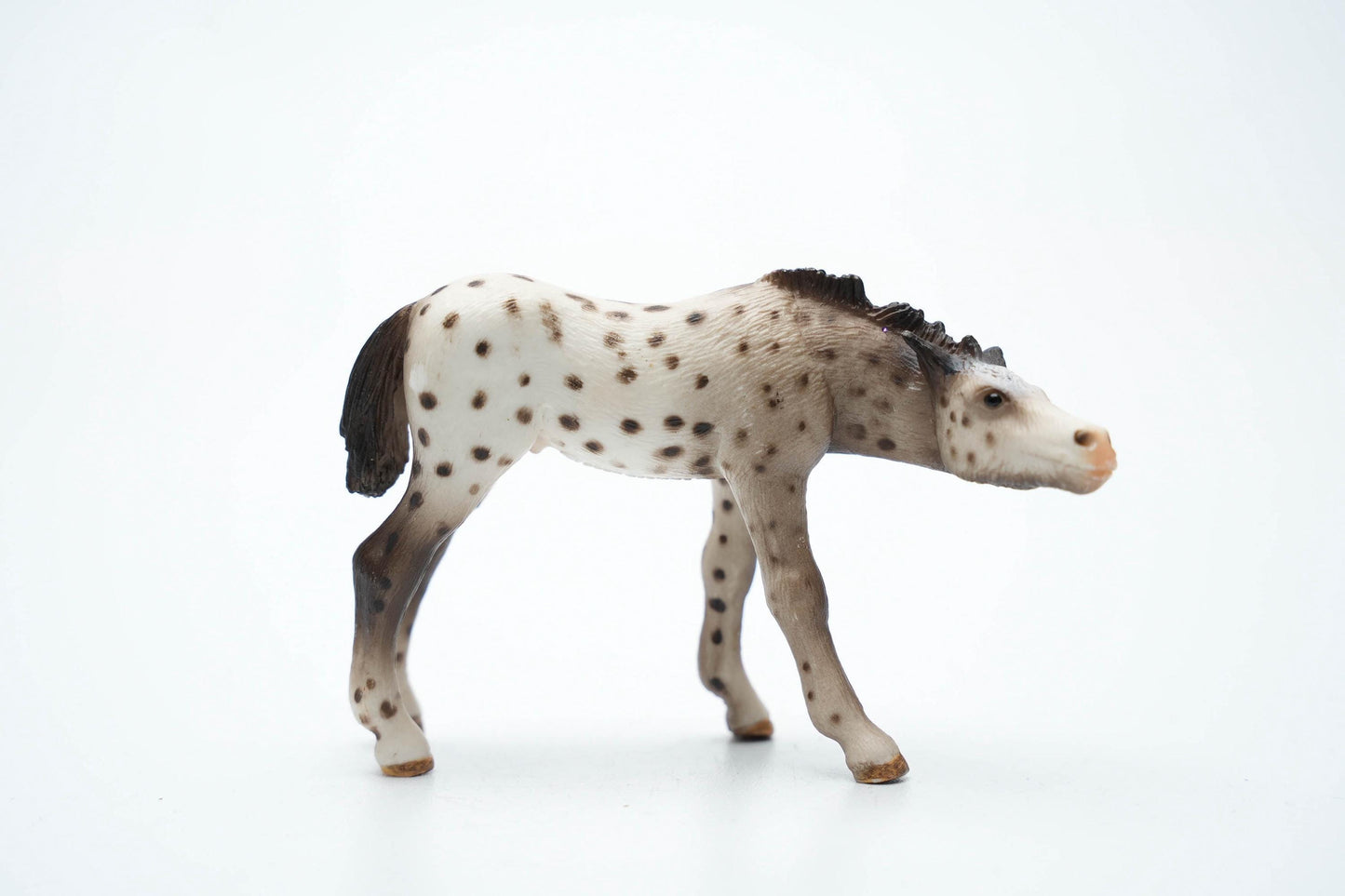 Schleich 13619 Knabstrupper Veulen – 6 cm (ca. 2.4 inch) – 2006 – Zeldzame Vintage Figurine